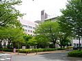 北里大学東病院