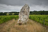 Menhir de Pierre Blanche