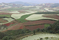 Red earth at Hongtudi