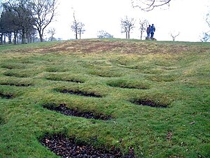 The lilia (defensive pits) north west of the fort