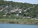 Karst- und Ufervegetation am See