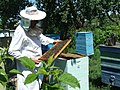 Bienenhaus in Baschkortostan, Russland