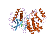 2oji: Crystal structure of ERK2 in complex with N-benzyl-4-(4-(3-chlorophenyl)-1H-pyrazol-3-yl)-1H-pyrrole-2-carboxamide