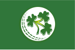 Ireland cricket team flag