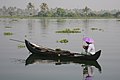 A boat in a canal near Vembanad lake