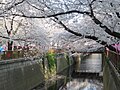 Meguro (目黒区), Tokjo