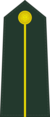 Officer cadet