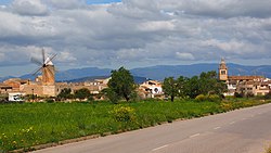 Skyline of Algaida