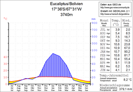 Eucaliptus – Veduta