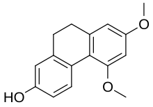 Chemical structure of orchinol