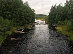 Вид по течению (в сторону Салонъярви)