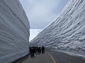 Snow wall