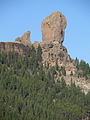 Roque Nublo e vexetación.