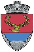 Wappen von Răstolița