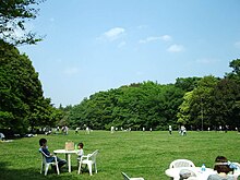 Kinuta Park 04.jpg