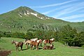 Blick vom Col de Serre auf den Puy Mary