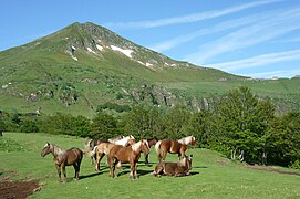 Le Puy Mary