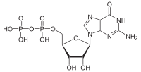 Structuurformule van guanosinedifosfaat