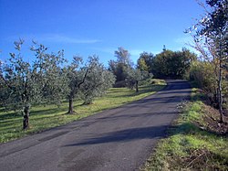 Skyline of Salisano