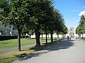 Die Allee vom Gürtel zum Oberen Portal des Belvedere-Gartens