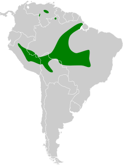 Distribución geográfica del saltarín encendido.