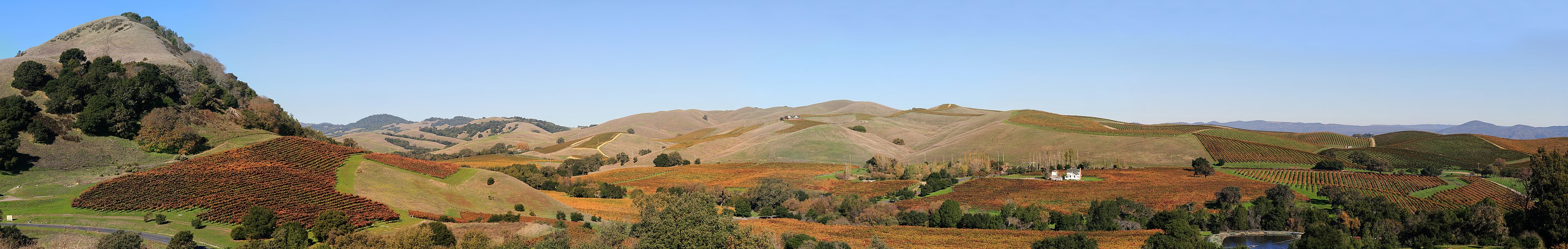 Give beer to those who are perishing, wine to those who are in anguish; let them drink and forget their poverty and remember their misery no more. – Proverbs 31 Napa Valley AVA, in California, site of several of the 2017 Northern California wildfires. Wishing sincere solace for those who endured that misery.