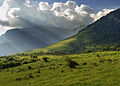 Osrednja Stara planina