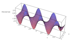 cos(x + iy) の虚部のグラフ