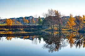 Reflections of Autumn