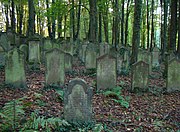 Der jüdische Friedhof in Waibstadt