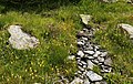 In situ near El Serrat, Andorra