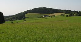 Hünersedel