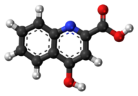 Ball-and-stick model of kynurenic acid