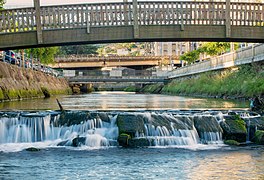 Alvedosa river