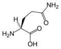 L-glutamin (Gln / Q)