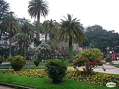 Jardines de Vincenti