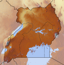 Monte Elgon está localizado em: Uganda