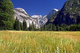 De ronde verweringsvormen van de bergen in Yosemite National Park in de Sierra Nevada vormen een van de toeristische iconen van Californië