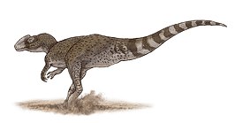 Chuandongocoelurus