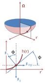 Force diagram in co-rotating frame for water surface in rotating bucket.