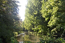 Les bords de la Juine à Étréchy.