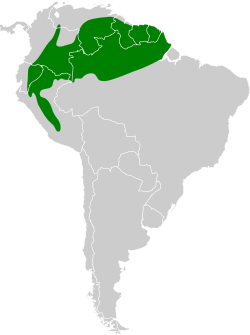 Distribución geográfica del hormiguero cuerniblanco.