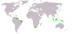 Impero coloniale olandese - Localizzazione