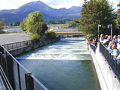 Barrage Bonneville sur le fleuve Columbia, États-Unis.