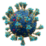 Thumbnail for Coronavirus nucleocapsid protein