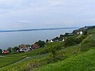 Blick auf die Haltnau, links unten das Restaurant