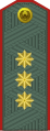 General-polkovnik (Uzbek Ground Forces)[12]