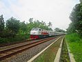 Kereta api Pasundan saat menikung di Moyudan, Sleman.