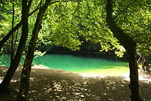 Photo de la vasque de Saint-Sauveur, ombragée avec une eau de couleur vert profond.