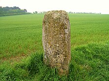 Menhir des Planches mit Schälchen auf der Oberseite